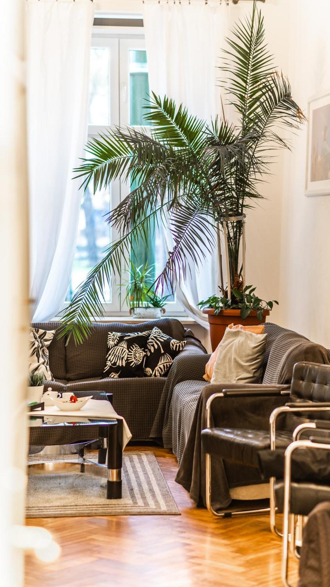 Fogra Travel Apartment Краків Екстер'єр фото